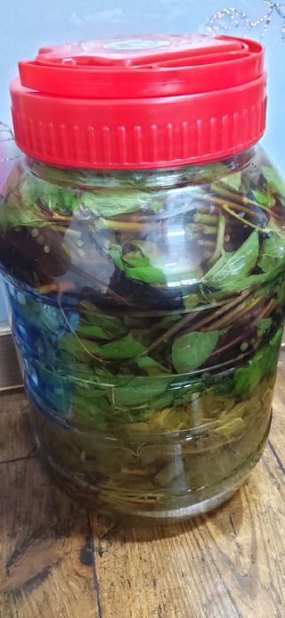 김해숙님의 자유주제 · 자유게시판 작성글 사진