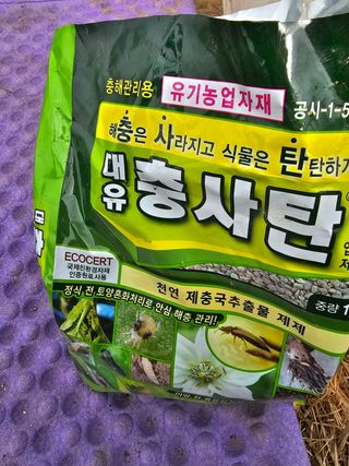 소양강님의 자유주제 · 자유게시판 작성글 사진