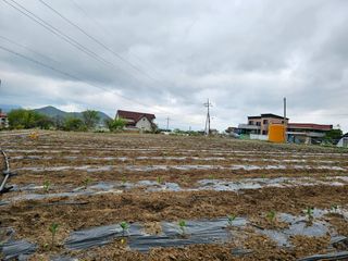 소양강님의 자유주제 · 자유게시판 작성글 사진