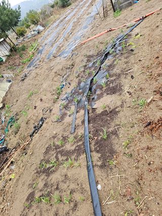 소양강님의 자유주제 · 자유게시판 작성글 사진