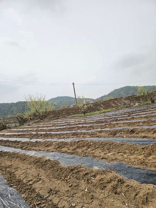 소양강님의 자유주제 · 자유게시판 작성글 사진