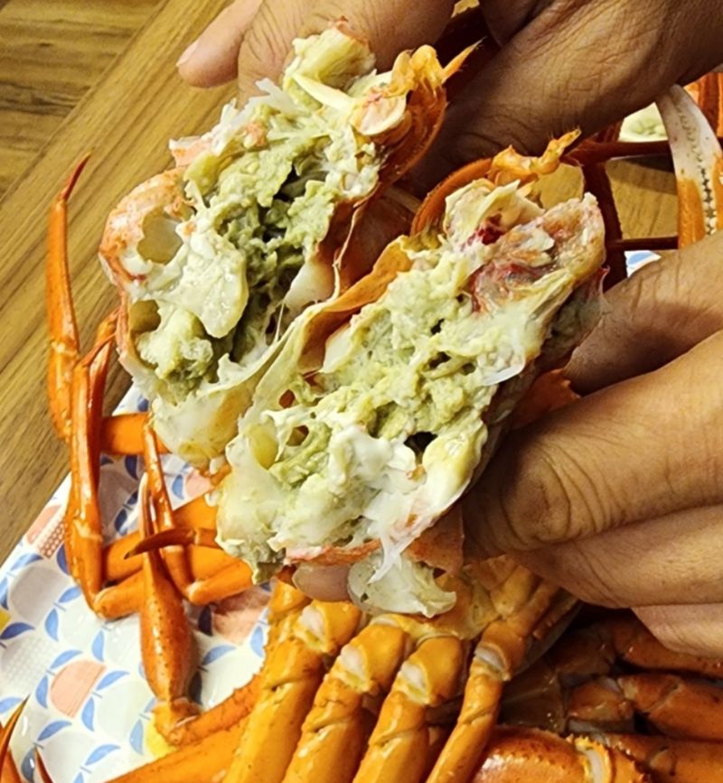 노가네수산님의 장터 판매 상품 [산지직송] 강구항 후포리 박달홍게 8미] 첨부 사진