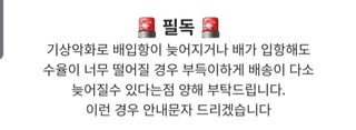 노가네수산님의 작성글 사진