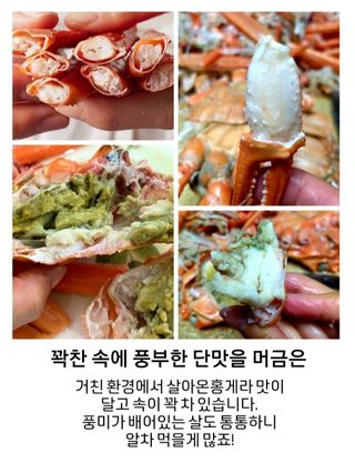 노가네수산님의 작성글 사진