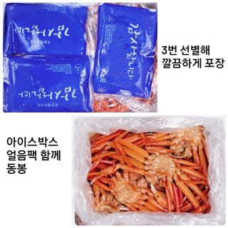 노가네수산님의 작성글 사진