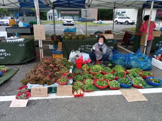 김경수님의 자유주제 · 자유게시판 작성글 사진