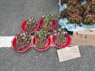 김경수님의 자유주제 · 자유게시판 작성글 사진