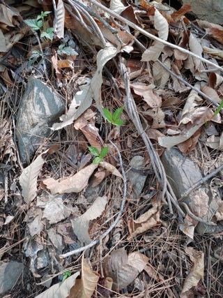 니무레골농원님의 자유주제 · 자유게시판 작성글 사진
