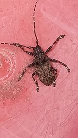 팜모닝 자유주제·자유게시판 게시글 이미지