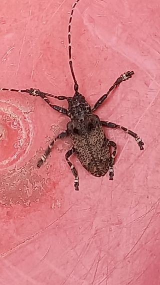 박한철님의 자유주제 · 자유게시판 작성글 사진