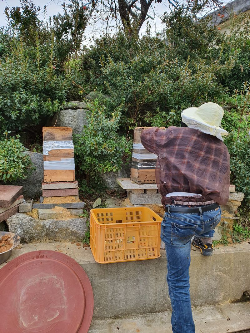 농민아점씨님의 장터 판매 상품 [토종꿀 2.5kg] 첨부 사진