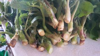 황의성님의 작성글 사진