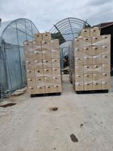 팜모닝 고추·일상 게시글 이미지