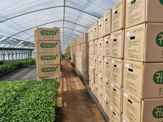 수박씨님의 고추 · 일상 작성글 사진