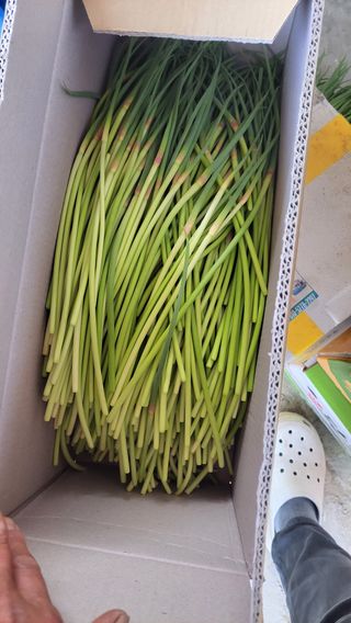 농사꾼 단비님의 작성글 사진