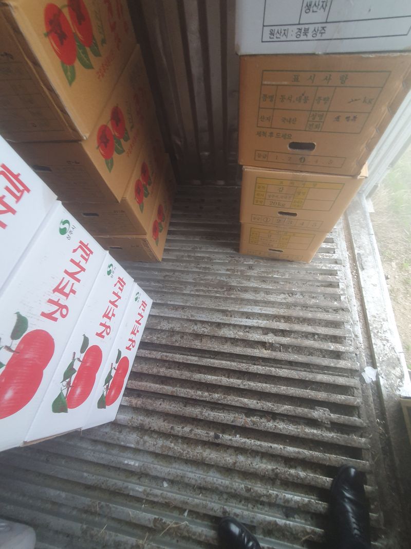 상주백수농원 님의 장터 판매 상품 [40피트수출용냉동컨테이너] 첨부 사진