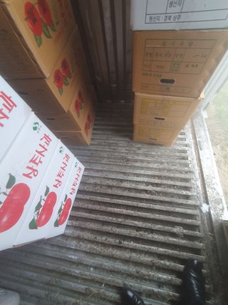 상주백수농원 님의 작성글 사진