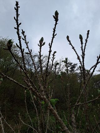 정선경님의 작성글 사진