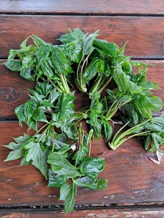 정선경님의 작성글 사진