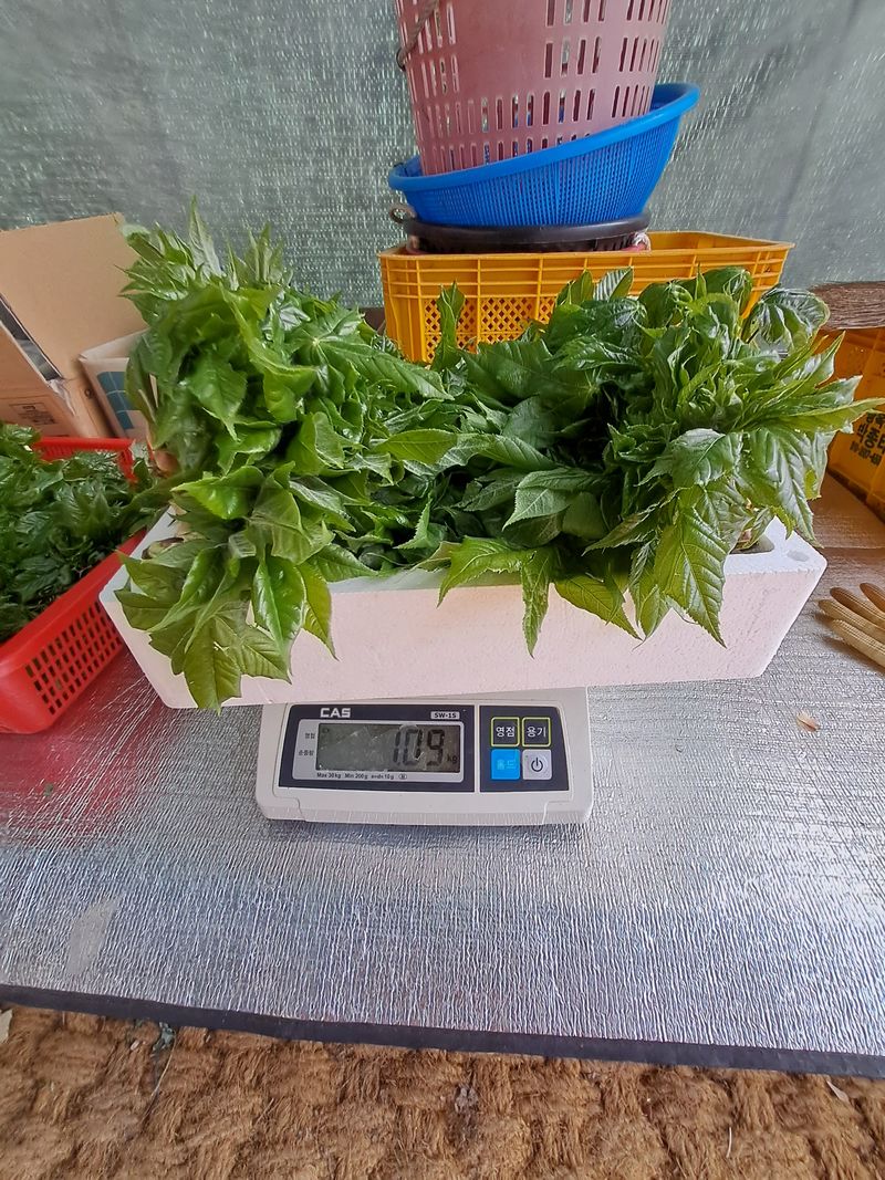 정선경님의 장터 판매 상품 [엄나무1kg] 첨부 사진