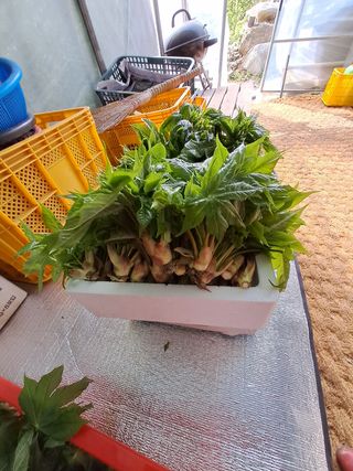 정선경님의 작성글 사진