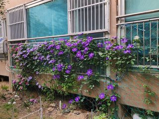 다야님의 자유주제 · 자유게시판 작성글 사진