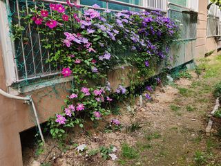 다야님의 자유주제 · 자유게시판 작성글 사진