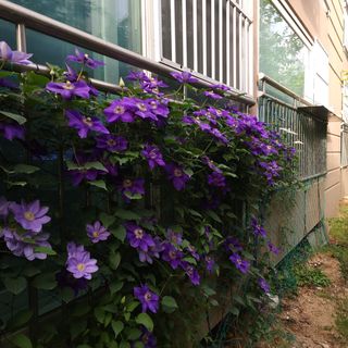 다야님의 자유주제 · 자유게시판 작성글 사진