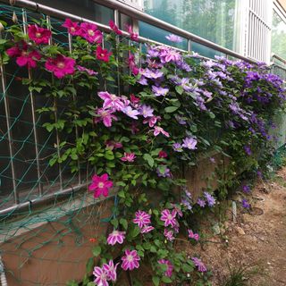 다야님의 자유주제 · 자유게시판 작성글 사진