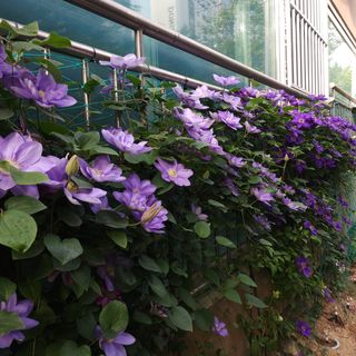 다야님의 자유주제 · 자유게시판 작성글 사진