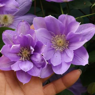 다야님의 자유주제 · 자유게시판 작성글 사진