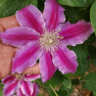 다야님의 자유주제 · 자유게시판 작성글 사진