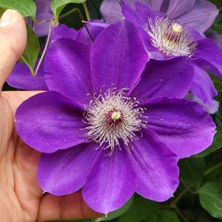 다야님의 자유주제 · 자유게시판 작성글 사진