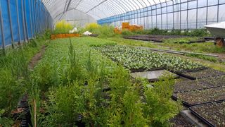 심기섭님의 자유주제 · 자유게시판 작성글 사진