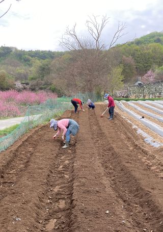 심기섭님의 자유주제 · 자유게시판 작성글 사진