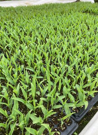 심기섭님의 자유주제 · 자유게시판 작성글 사진