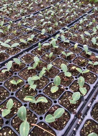 심기섭님의 자유주제 · 자유게시판 작성글 사진