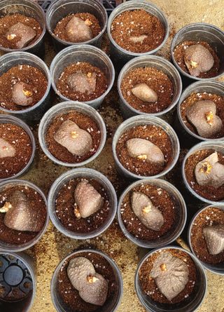 심기섭님의 자유주제 · 자유게시판 작성글 사진