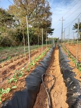 팜모닝 자유주제·자유게시판 게시글 이미지