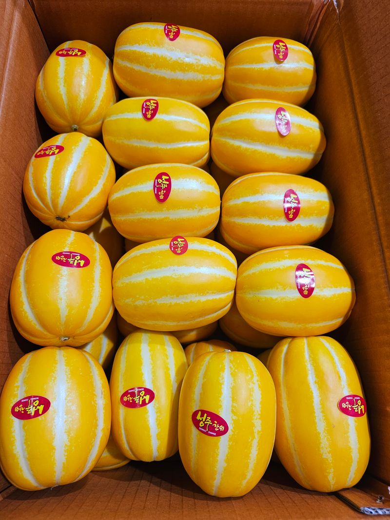 장터 상품 [성주참외 낼 더 가격 내려서 판매 예정이에요 ] 썸네일