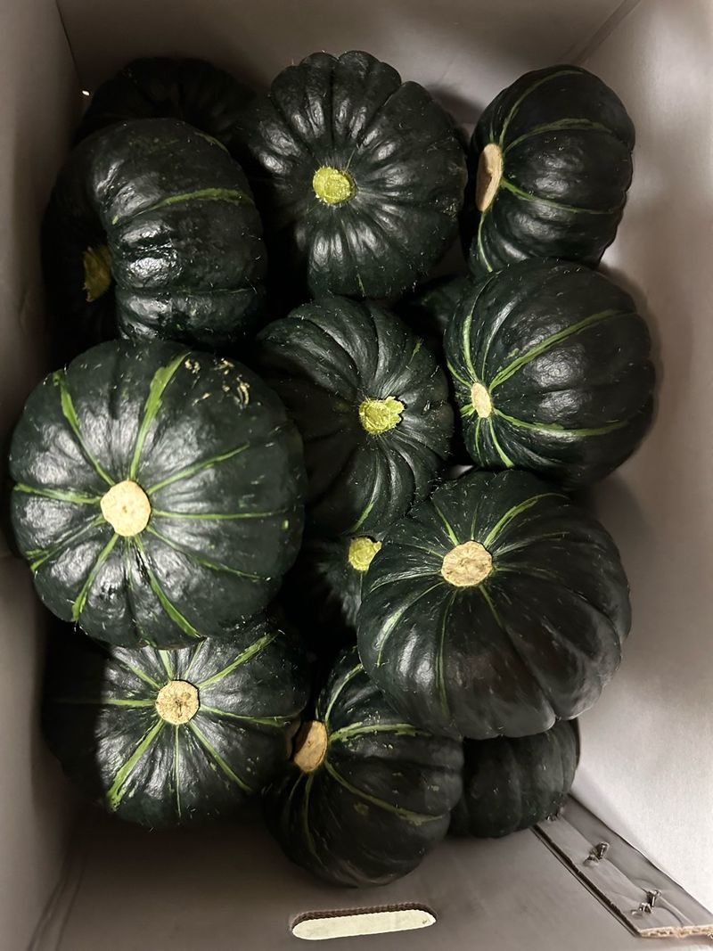 그린톡톡 오계상님의 장터 판매 상품 [101그린톡톡(100g)  5개 무료배송] 첨부 사진