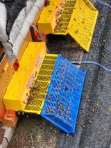 팜모닝 · 게시글 이미지