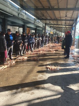 노가네수산님의 우리동네 · 동네자랑 작성글 사진