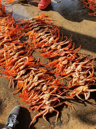 노가네수산님의 우리동네 · 동네자랑 작성글 사진