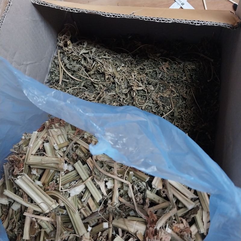 아로대추님의 장터 판매 상품 [건조 익모초 있습니다] 첨부 사진