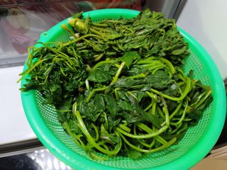 영이님의 벼 · 자유게시판 작성글 사진