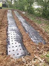 팜모닝 기타작물·자유게시판 게시글 이미지