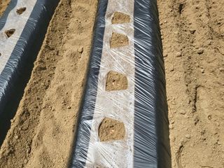 봄봄농장님의 작성글 사진