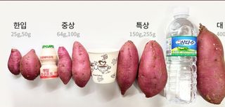 프룻하늬님의 작성글 사진