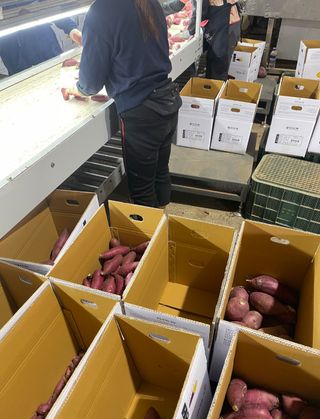 프룻하늬님의 작성글 사진